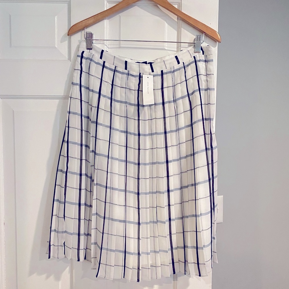 Pleated Ann Taylor skirt